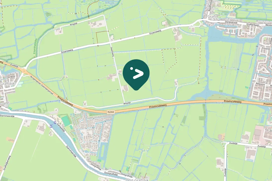 Spotted Common Shelduck