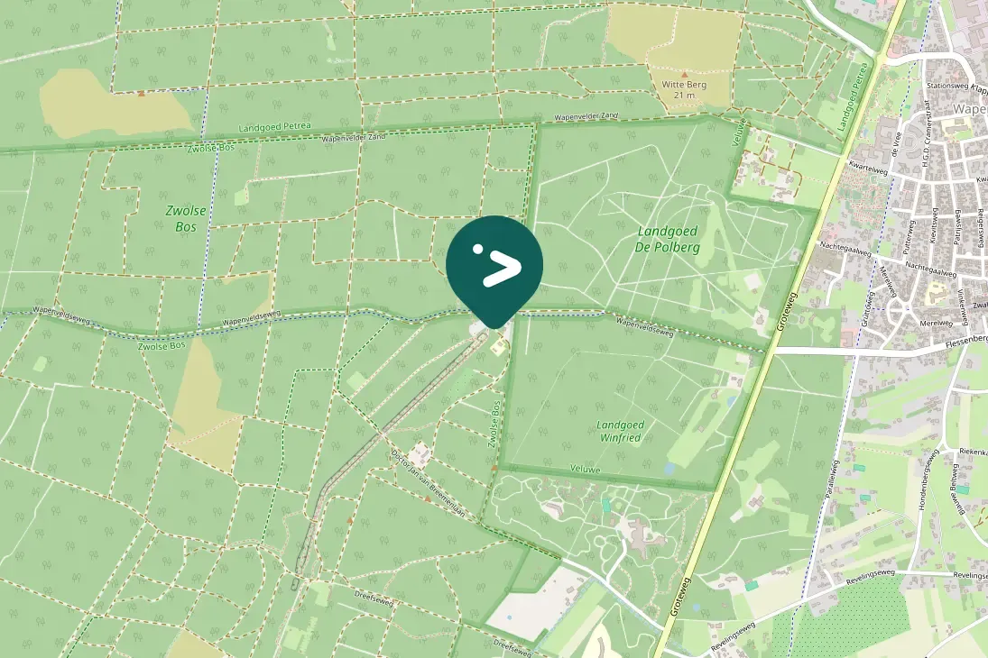 Spotted Short-toed Treecreeper