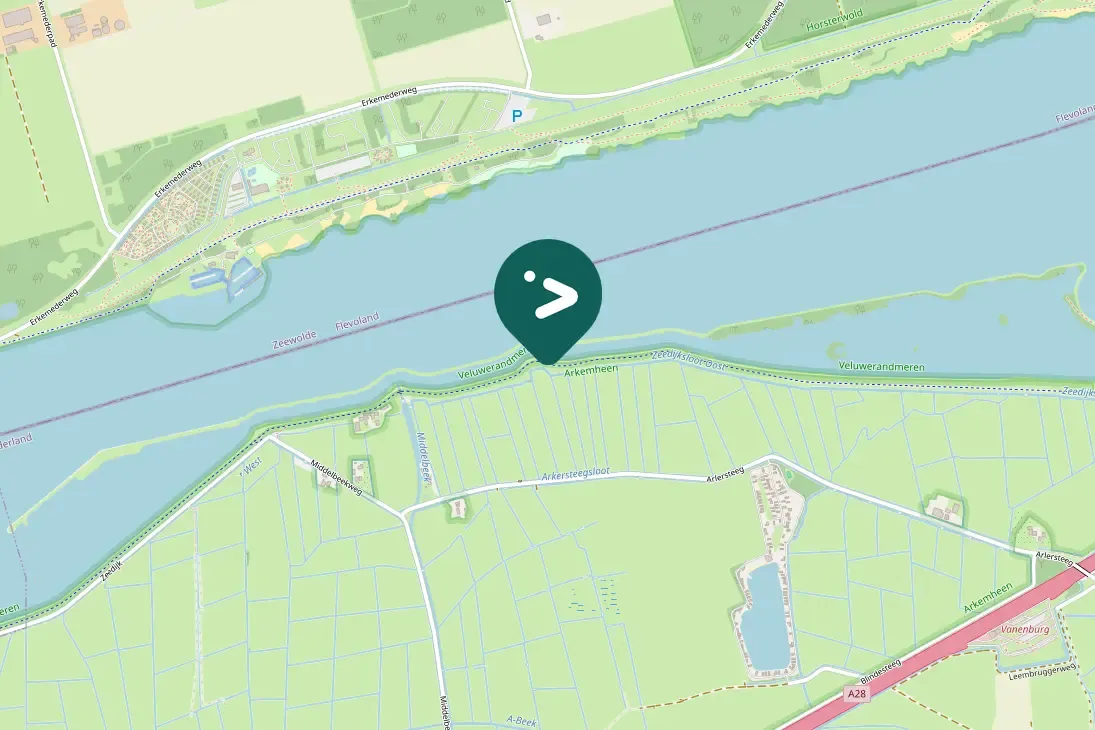 Spotted Eurasian Bittern