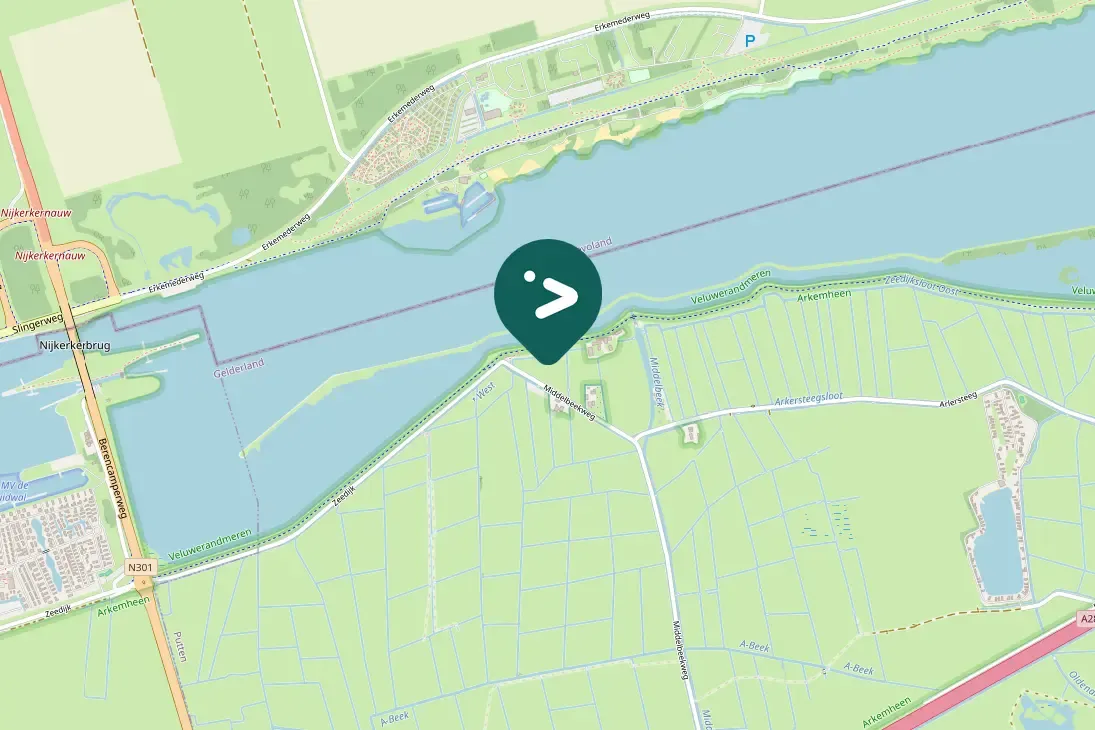 Spotted European Goldfinch