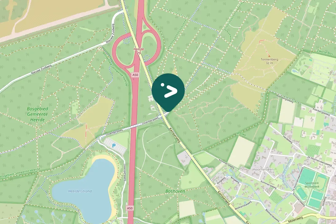 Spotted Common Buzzard