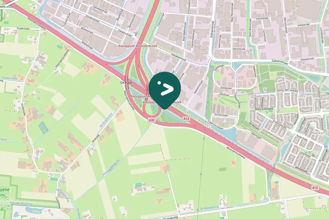 Spotted Eurasian Wigeon