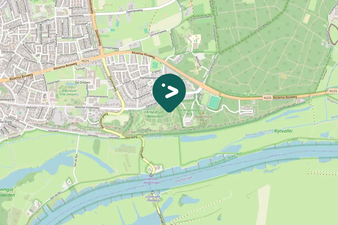 Spotted Eurasian Bullfinch