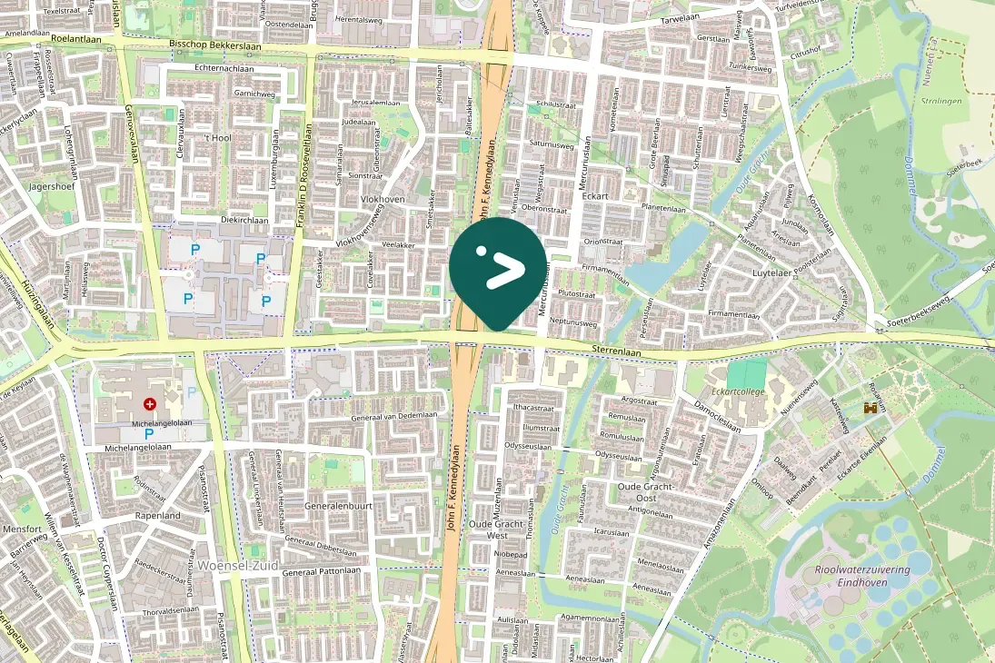 Spotted Common Wood-Pigeon