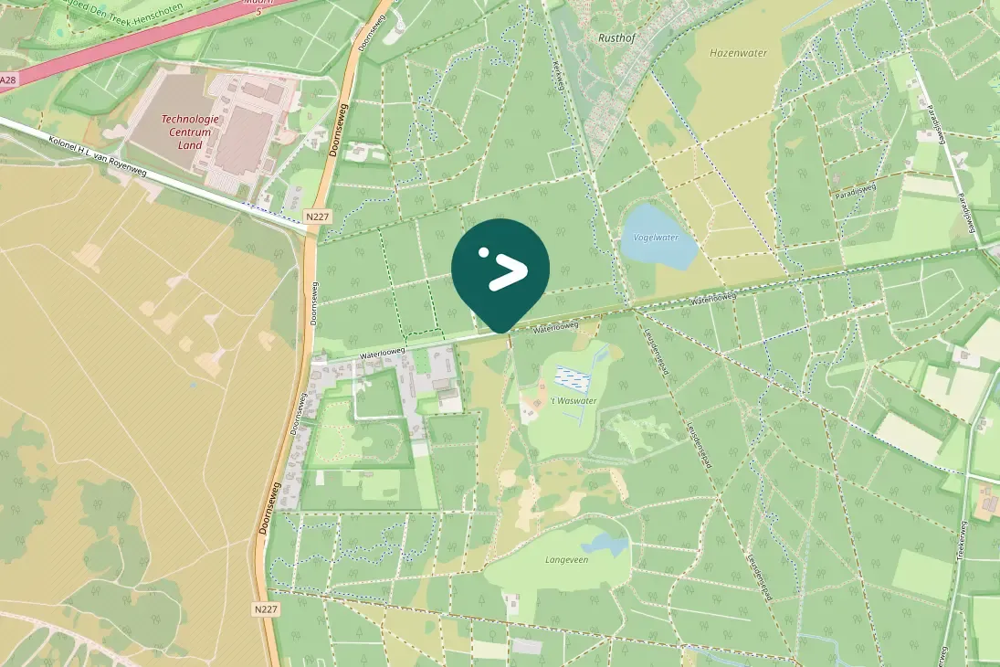 Spotted Black Woodpecker