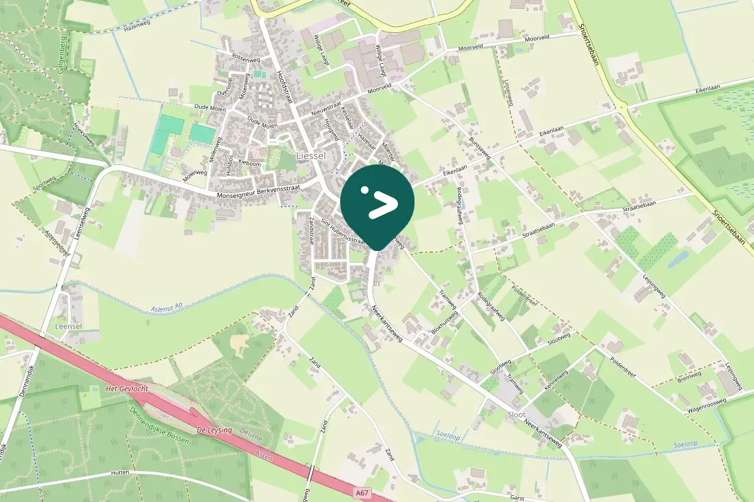 Spotted European Robin