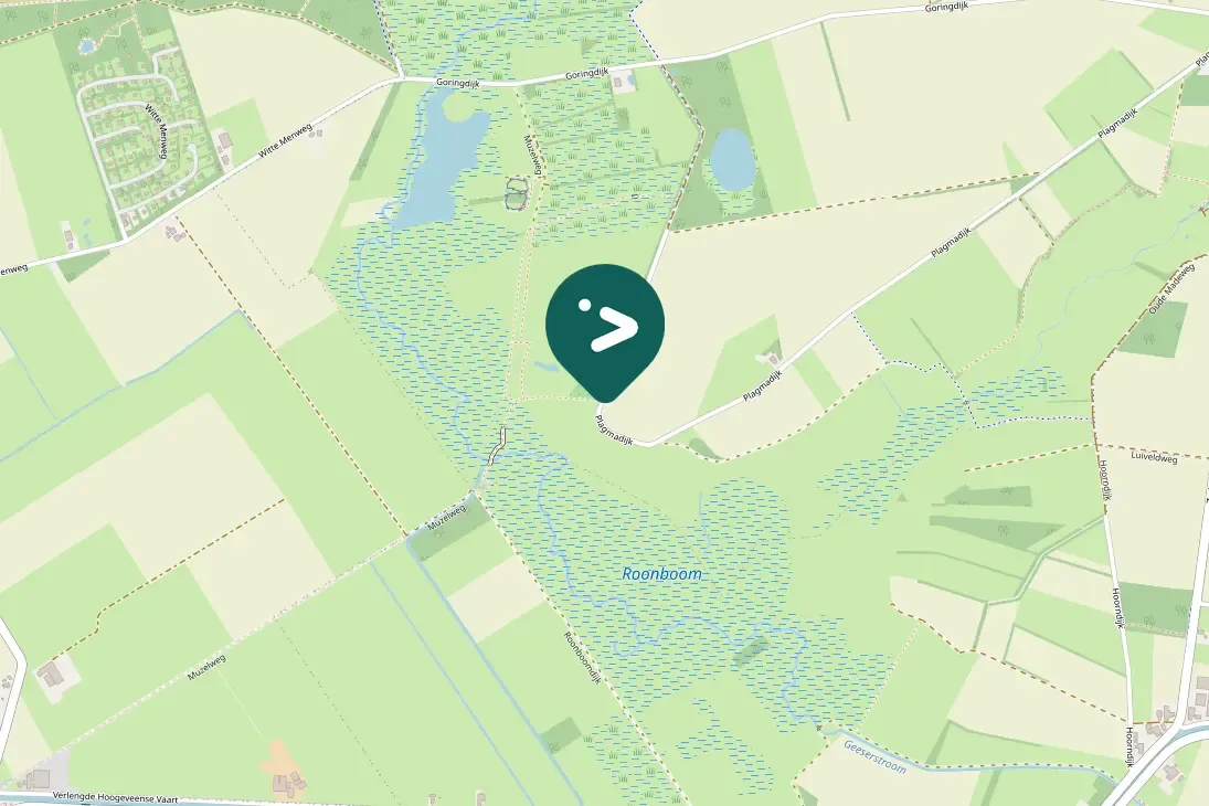 Spotted Common Raven