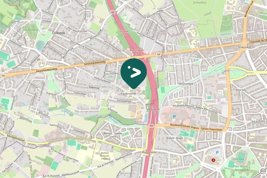 Spotted Ring-necked Pheasant