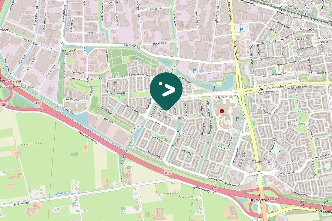 Spotted Lesser Black-backed Gull