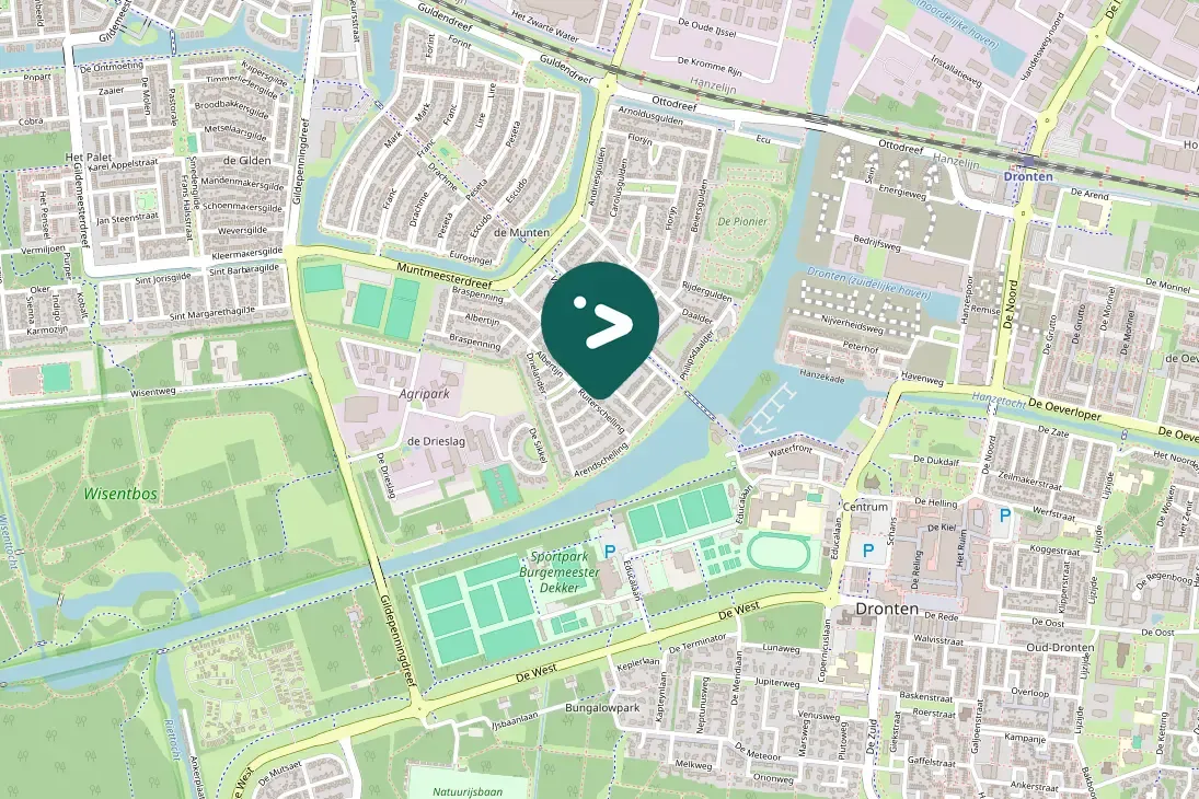 Spotted Common Buzzard