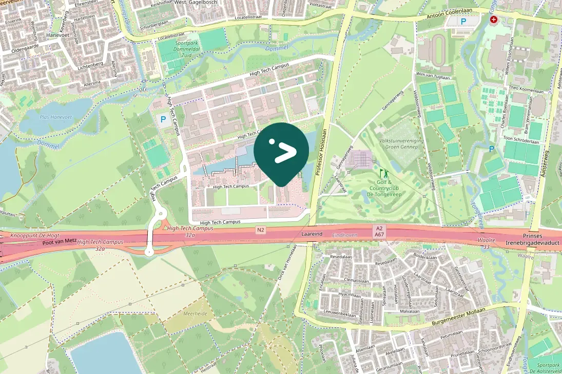 Spotted Carrion Crow