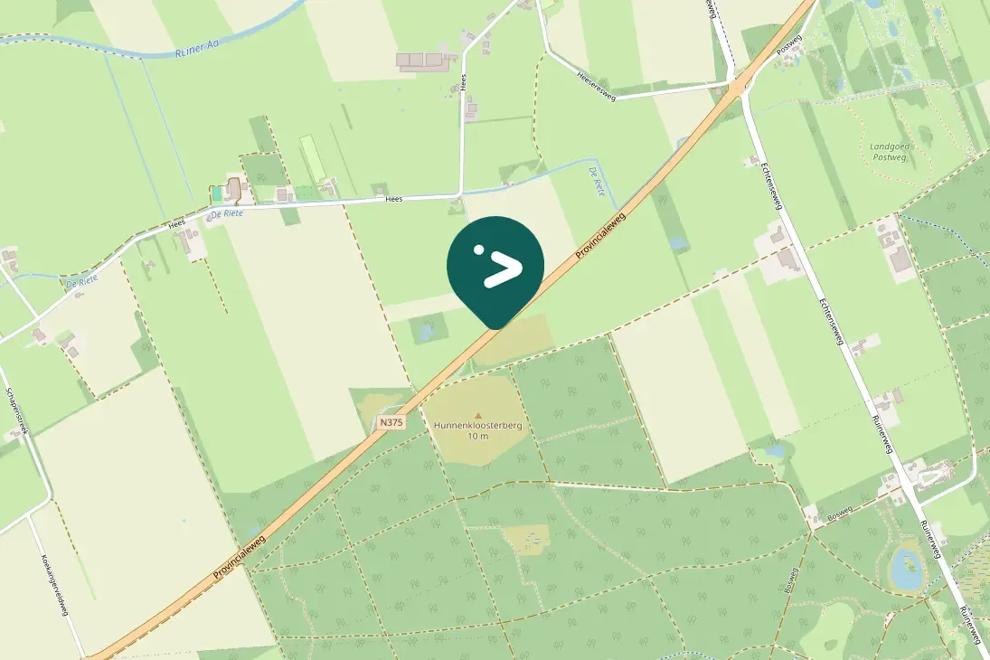 Spotted Whooper Swan