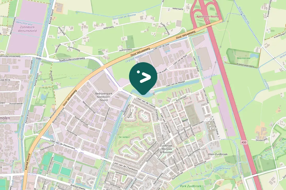 Spotted Ferruginous Duck