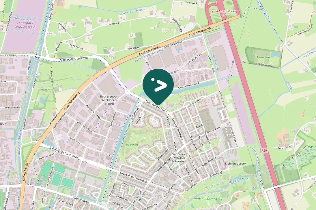 Spotted Green-winged Teal