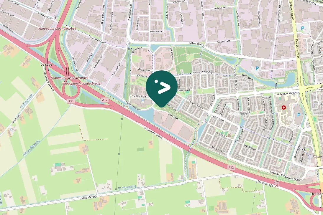 Spotted Short-toed Treecreeper