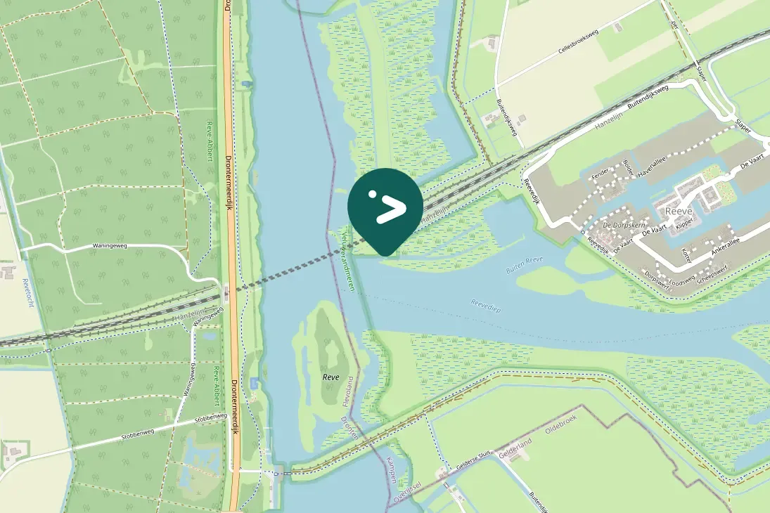 Spotted Common Merganser