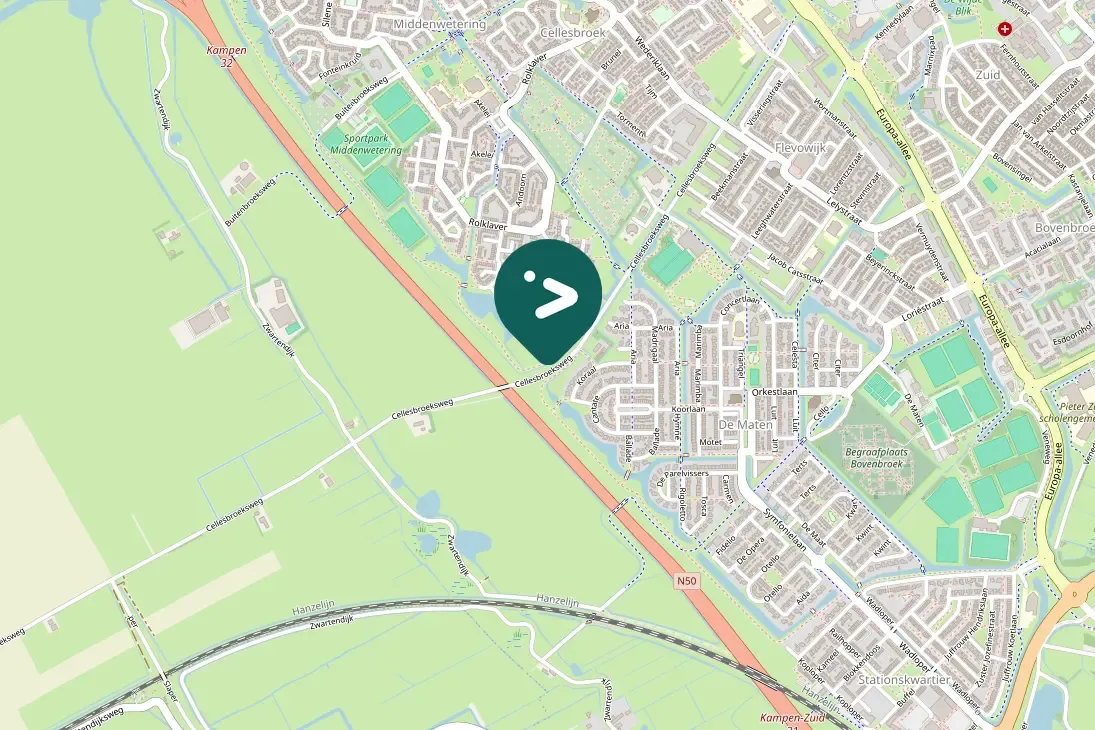 Spotted Common Buzzard