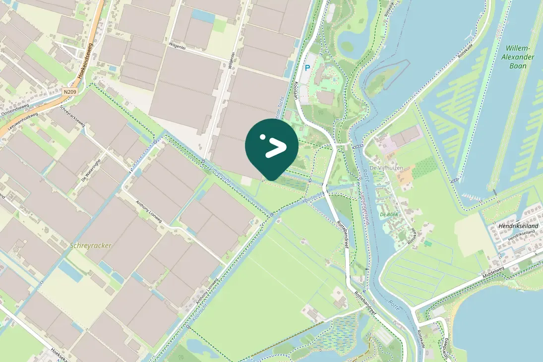 Spotted Common Buzzard