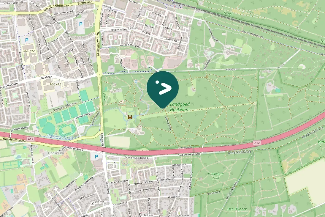 Spotted Middle Spotted Woodpecker