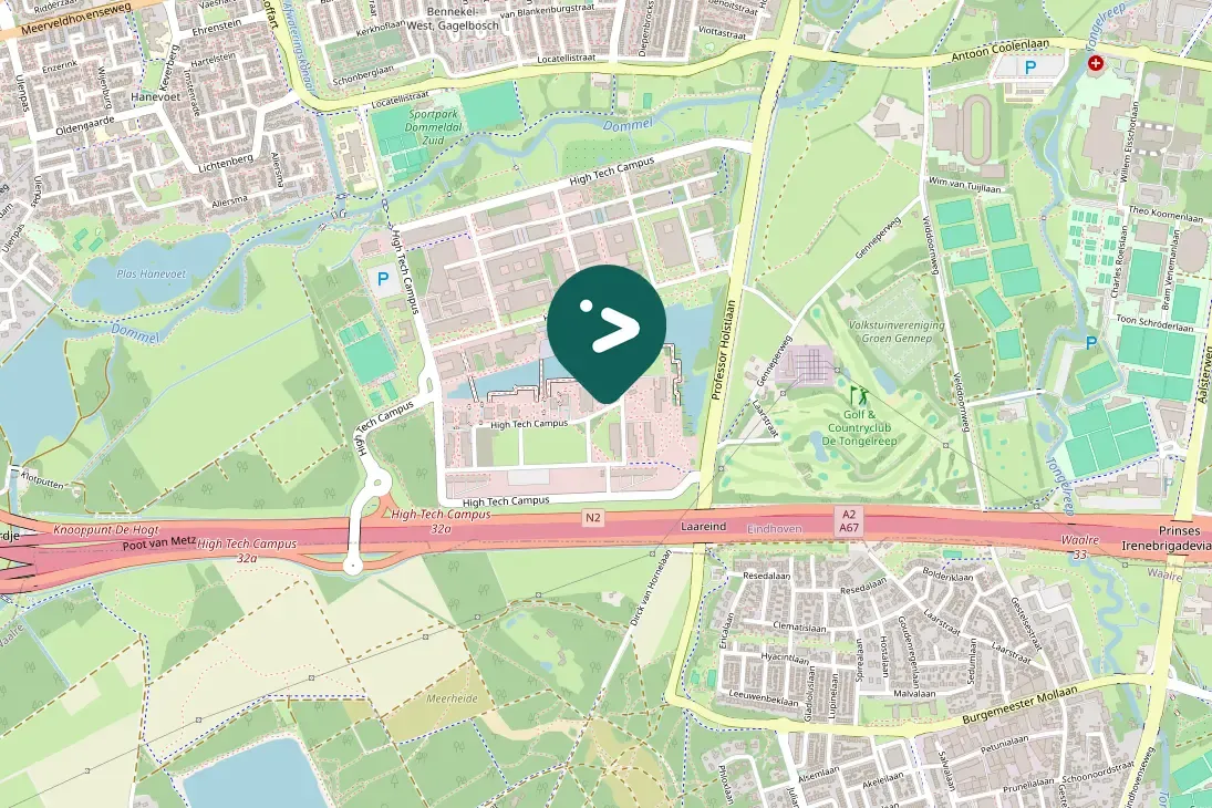 Spotted Great Spotted Woodpecker