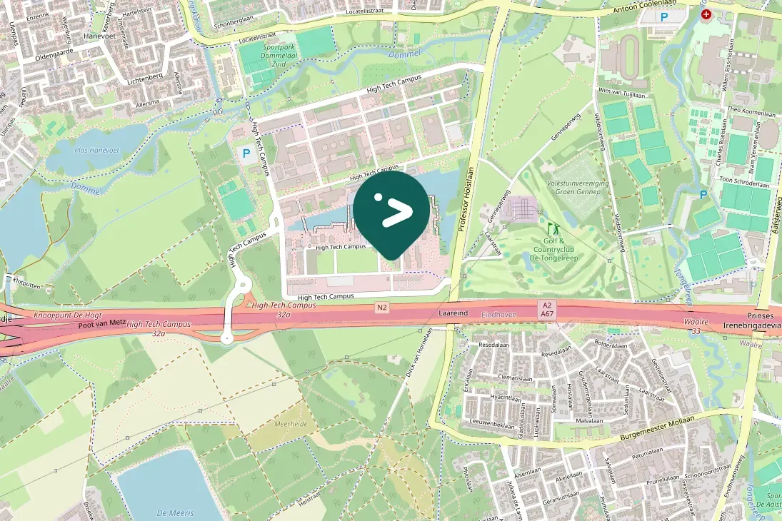 Spotted Carrion Crow