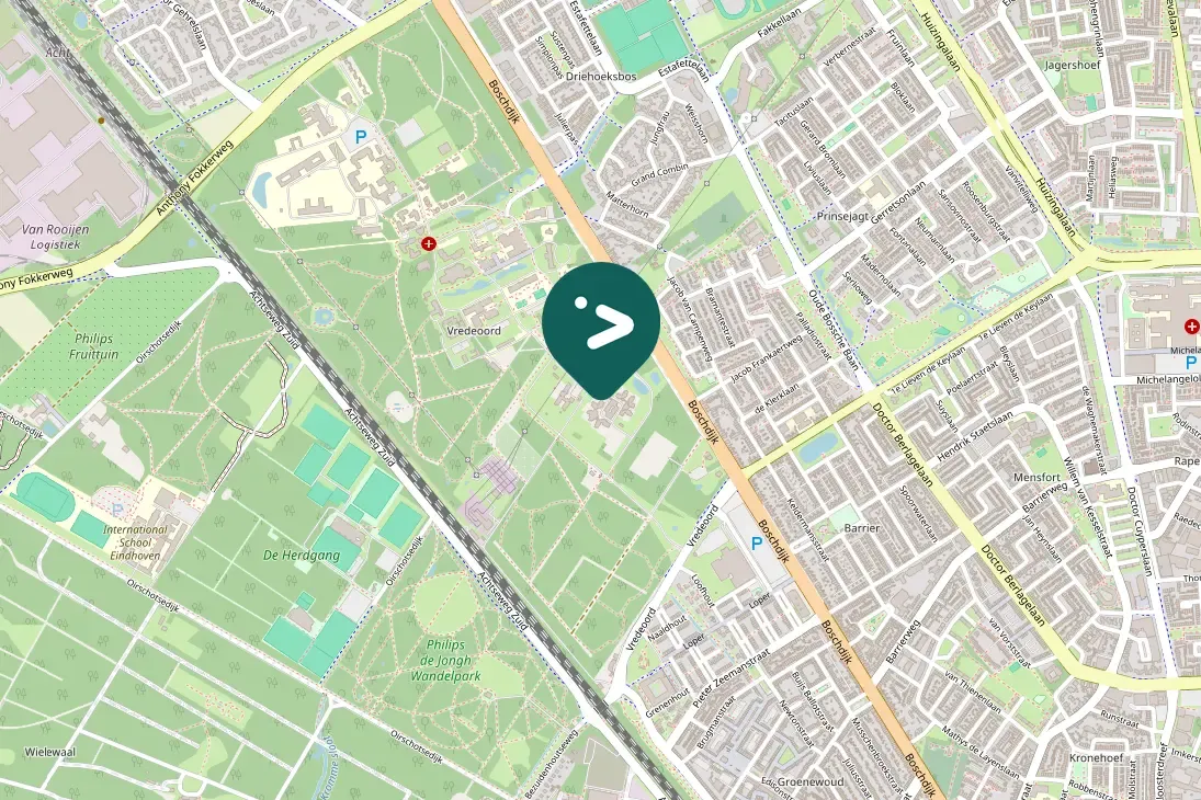 Spotted Carrion Crow