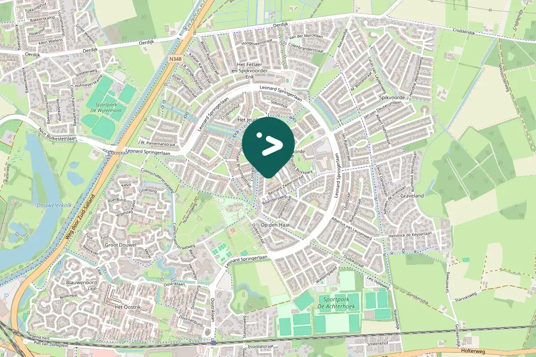 Spotted Eurasian Green Woodpecker