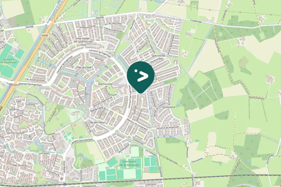 Spotted Mandarin Duck