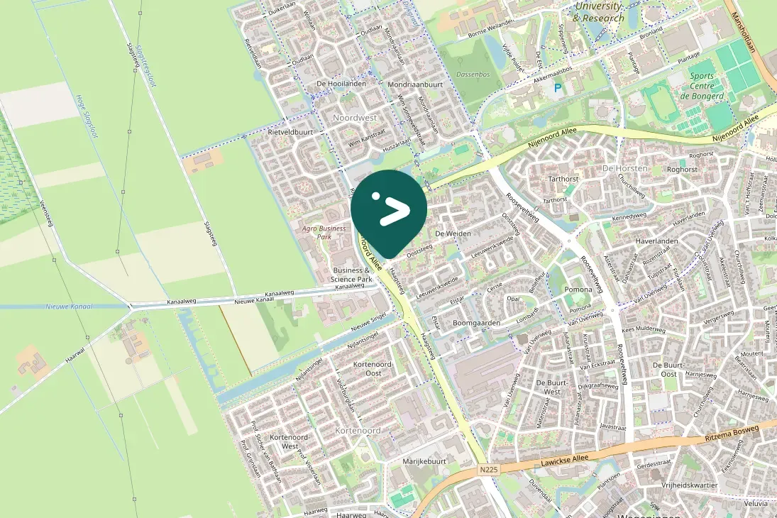 Spotted Long-eared Owl