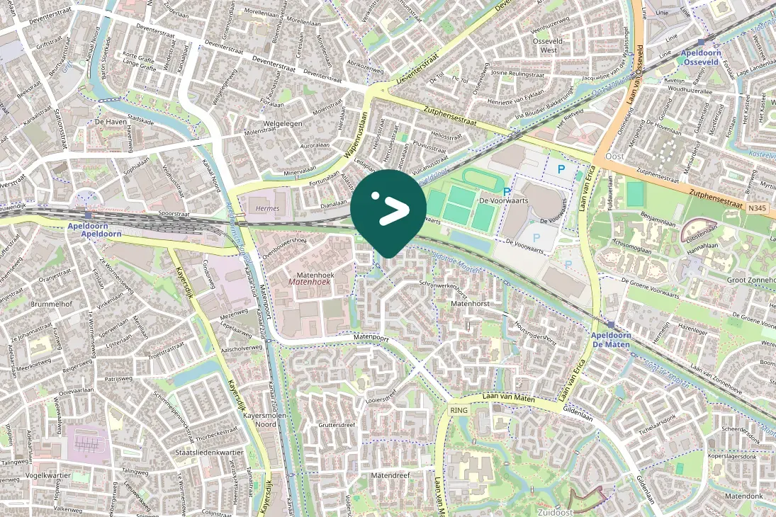 Spotted House Sparrow