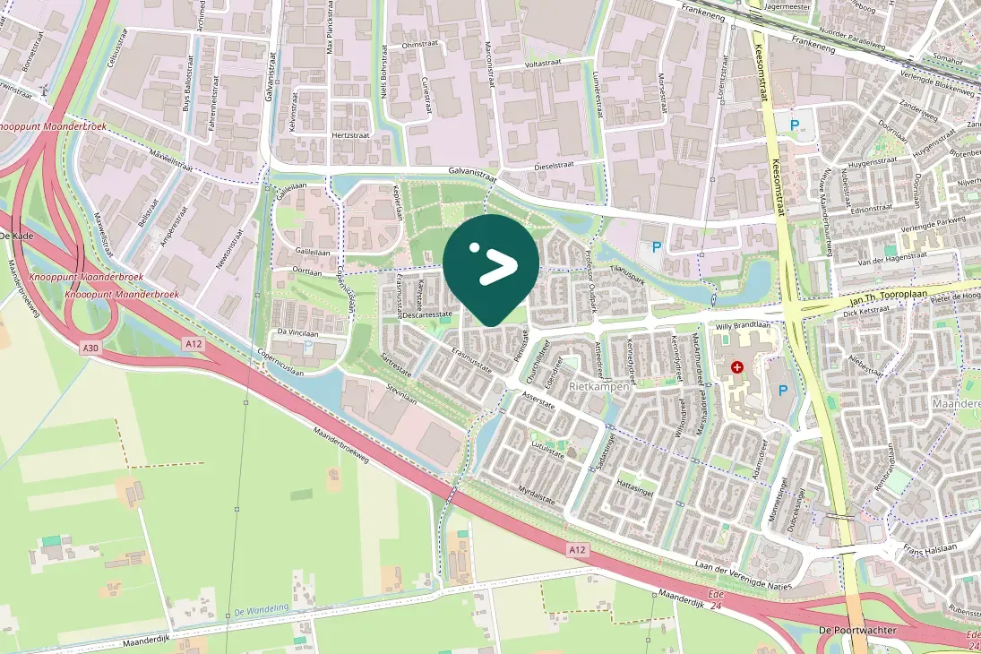 Spotted Eurasian Collared-Dove