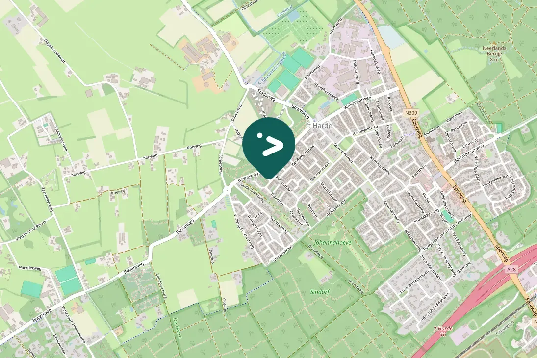 Spotted Eurasian Nuthatch