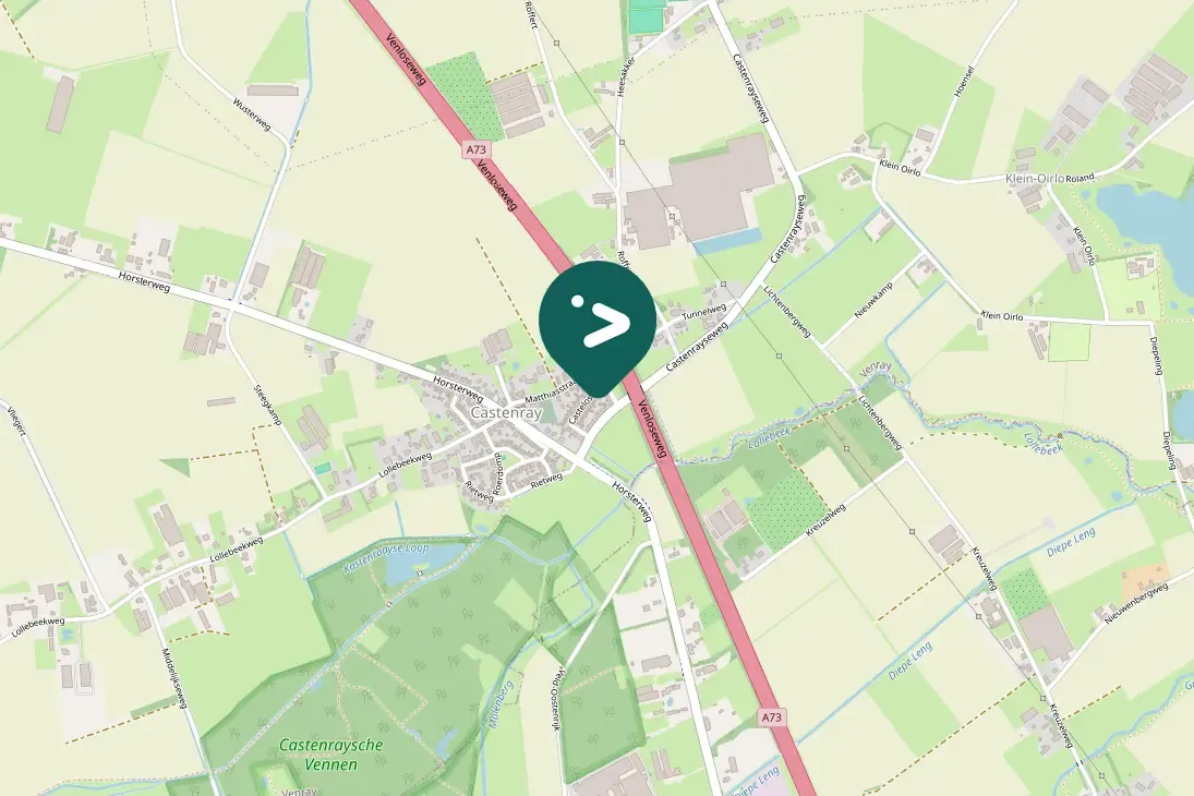 Spotted European Robin