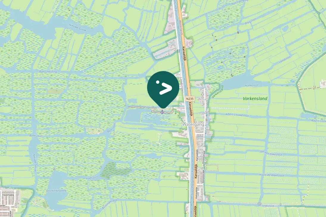 Spotted Eurasian Moorhen