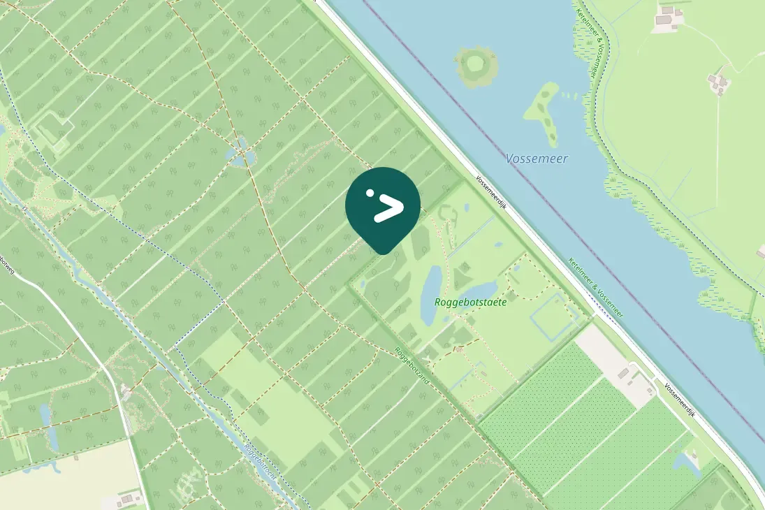 Spotted Eurasian Siskin