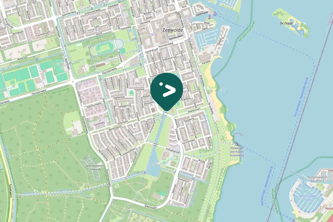 Spotted Common Merganser