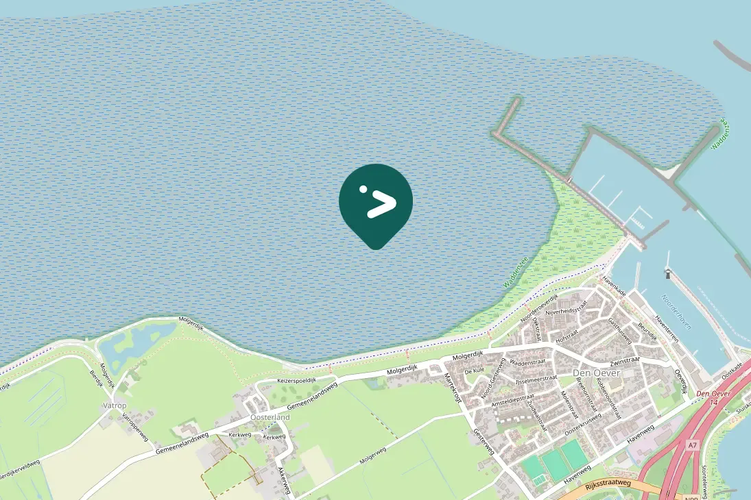 Spotted Black-bellied Plover