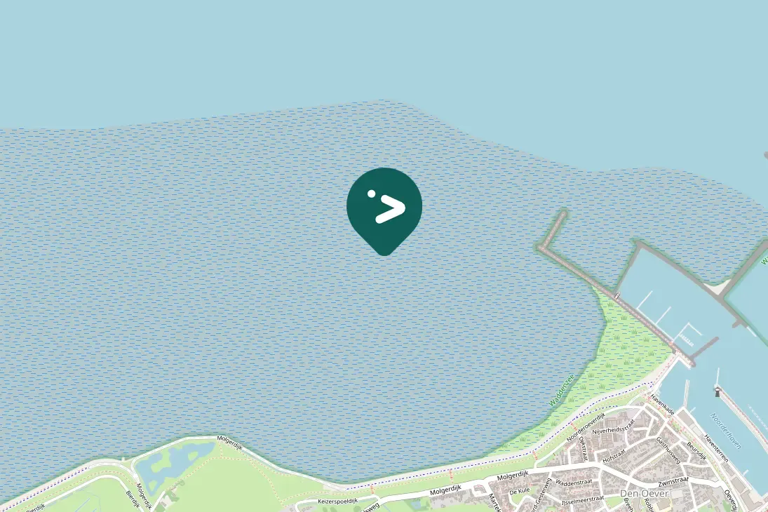 Spotted Eurasian Curlew