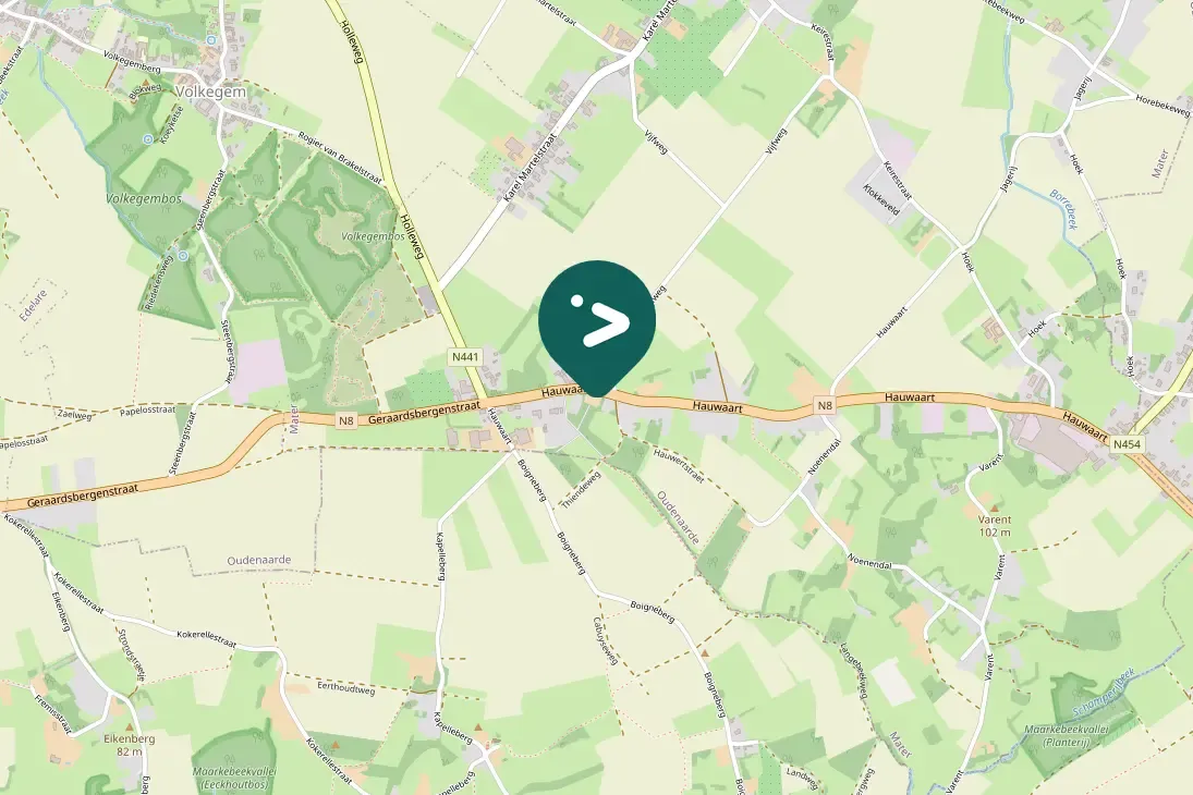 Spotted Common Buzzard