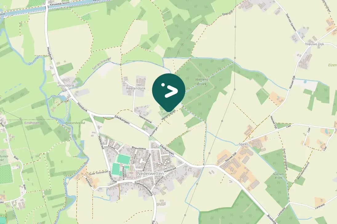 Spotted Eurasian Blackbird