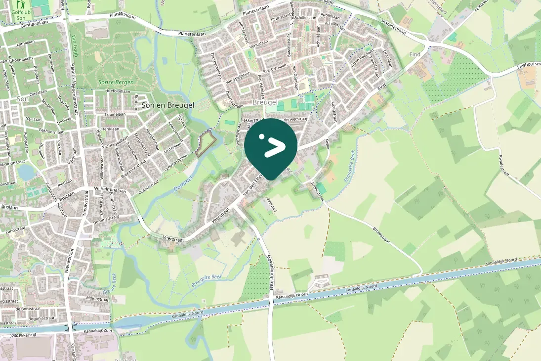 Spotted European Robin