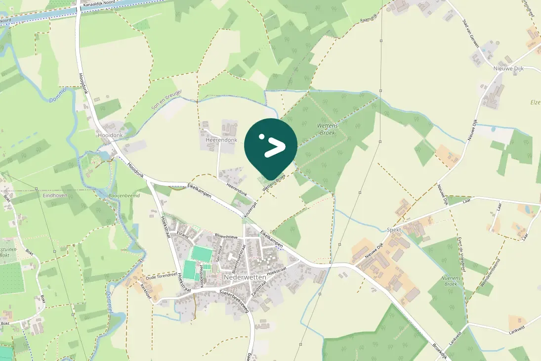 Spotted Eurasian Nuthatch