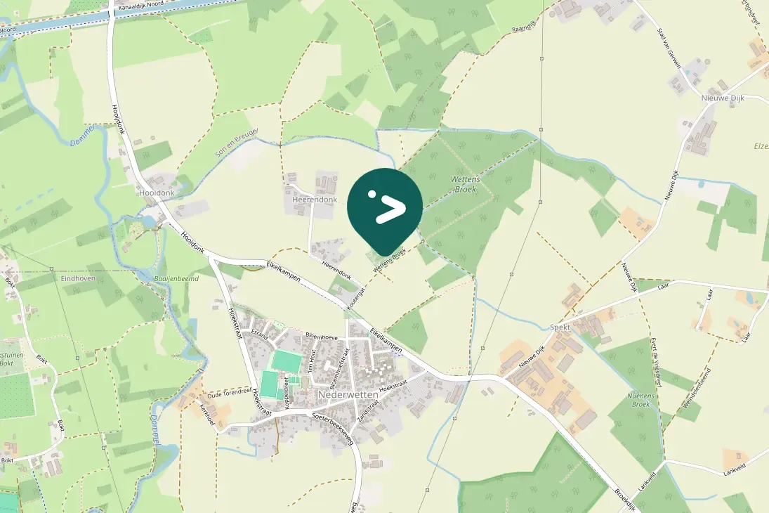 Spotted Eurasian Blackbird