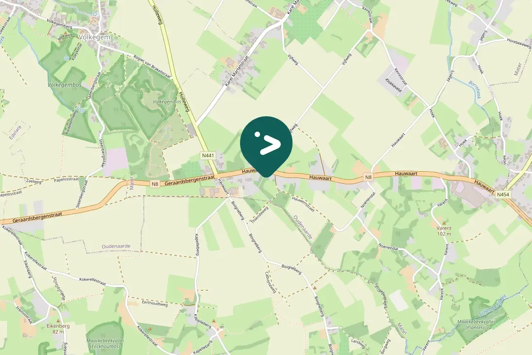 Spotted Common Buzzard