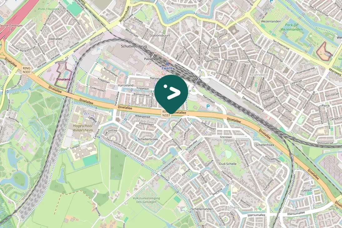 Spotted Black-headed Gull