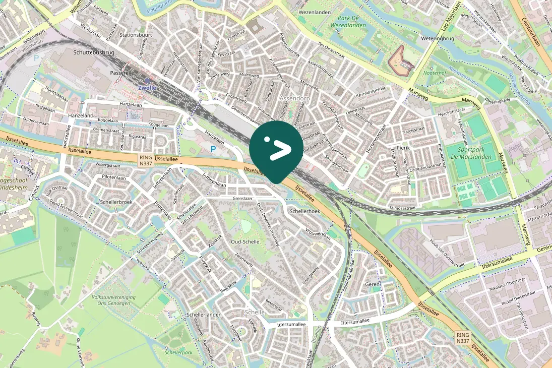 Spotted Eurasian Magpie