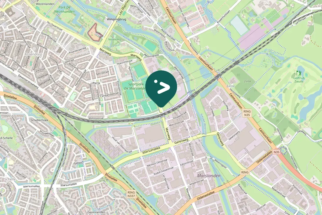 Spotted Carrion Crow