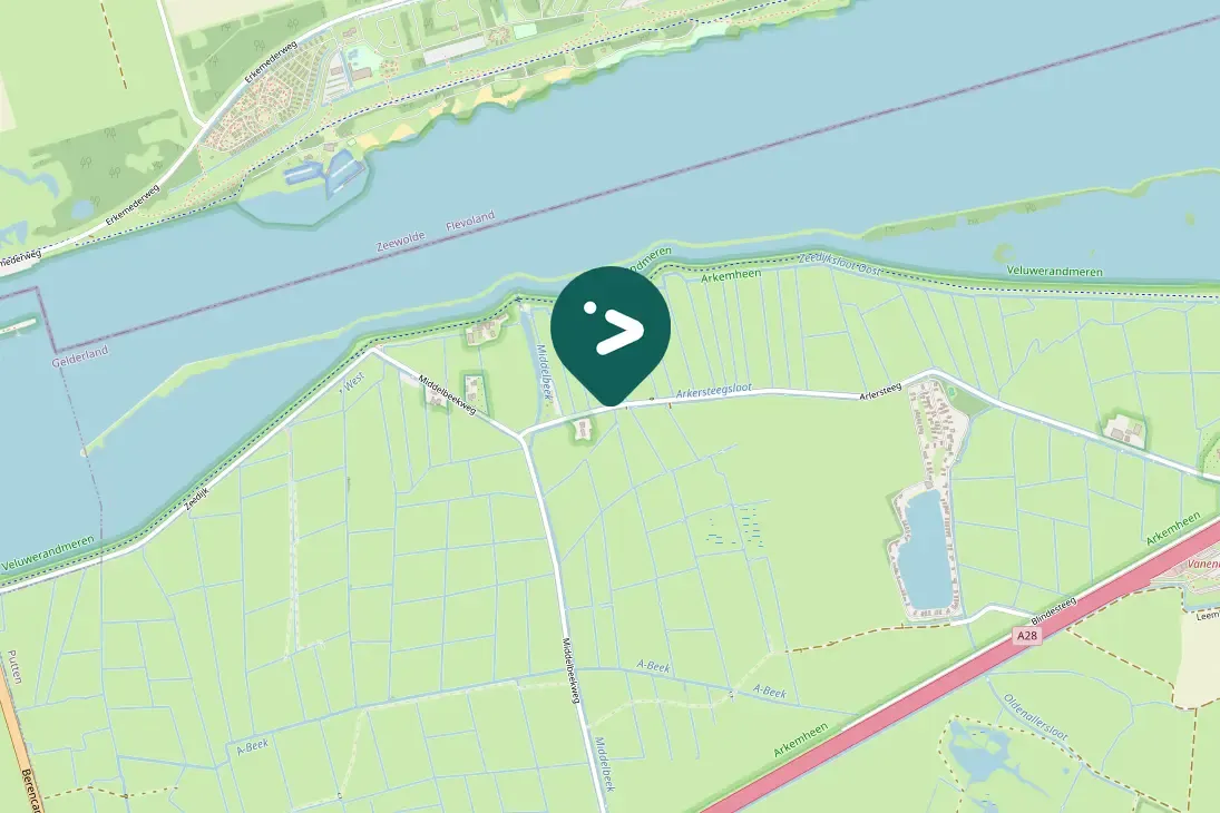 Spotted Eurasian Coot