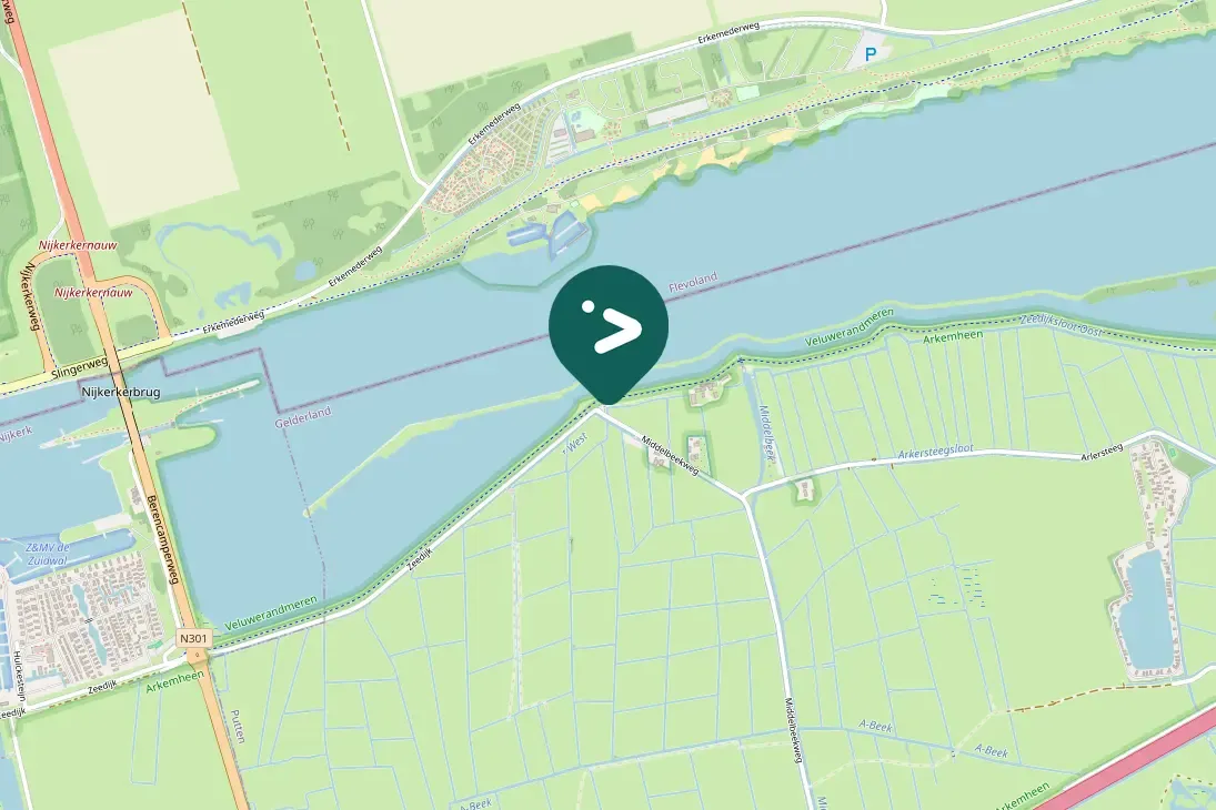 Spotted Graylag Goose