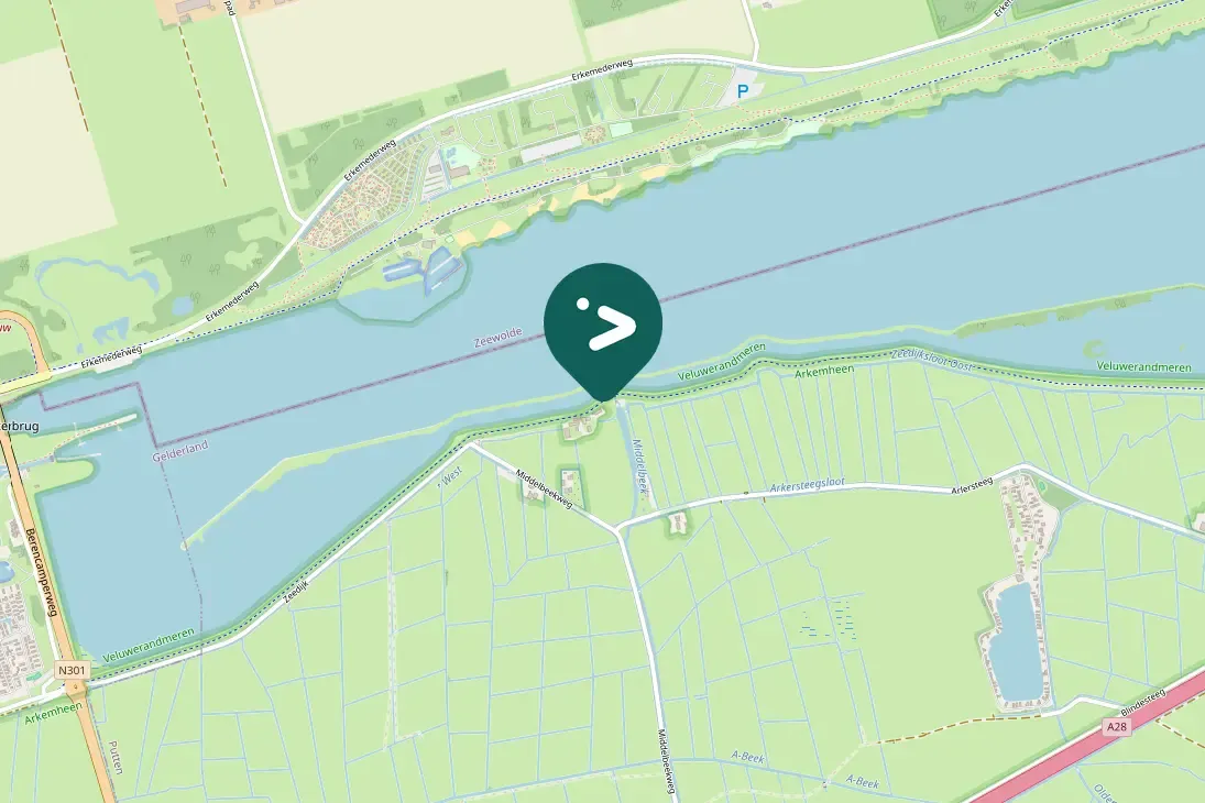 Spotted Eurasian Wigeon